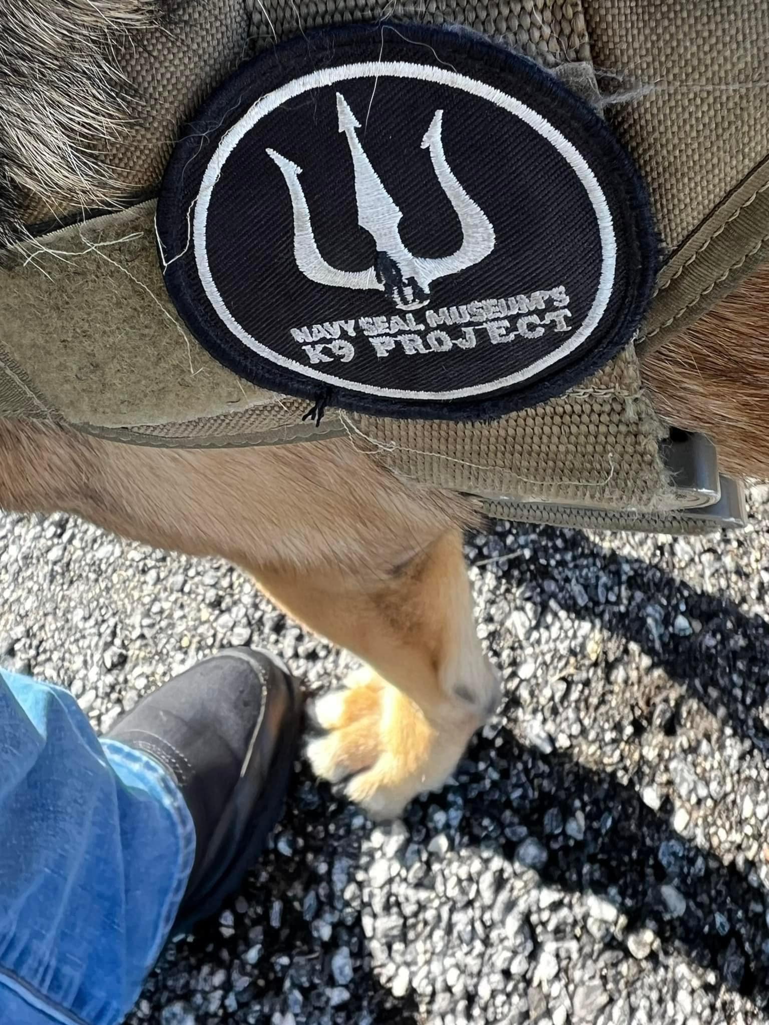 Navy Seal Museum K9 Project Poker Run